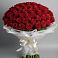 Букет 101 Красная роза Блэк Мэджик в Олонце
