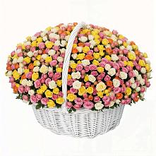 Премиум букет из: Розы в Олонце