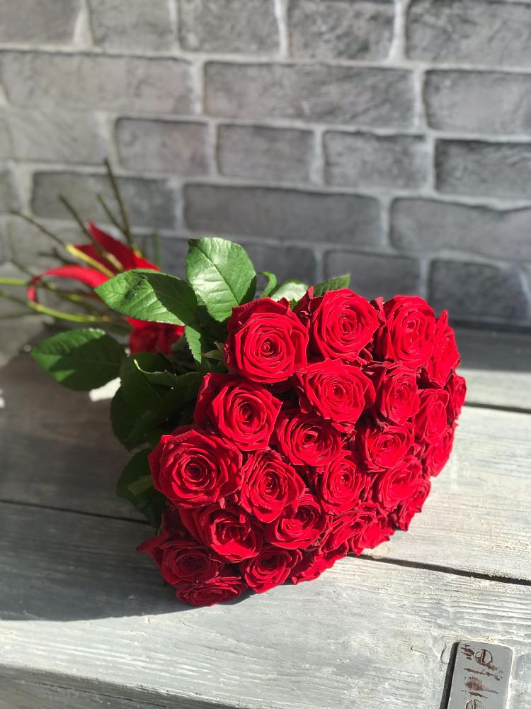 Букет Красные розы Фридом в Олонце