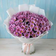 Букет цветов из:  Хризантемы в Олонце
