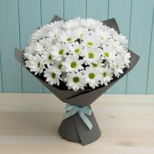 Букет цветов из:  Хризантемы в Олонце