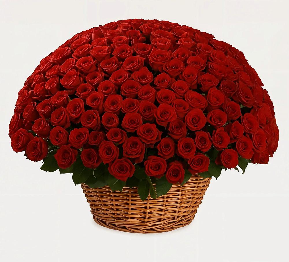 Премиум букет из: Розы в Олонце