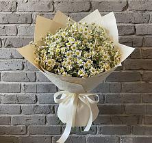 Букет цветов из:  Ромашки в Олонце