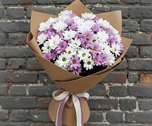 Букет цветов из:  Хризантемы в Олонце