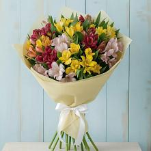 Букет цветов из:  Альстромерии в Олонце