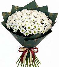 Букет цветов из:  Хризантемы в Олонце