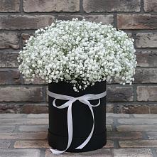 Цветочная композиция из Гипсофила в шляпной коробке #REPLACE_PRED# Олонце