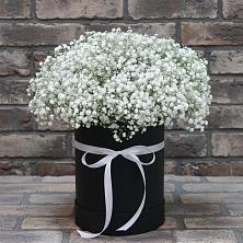 Цветочная композиция из Гипсофила в шляпной коробке в Олонце