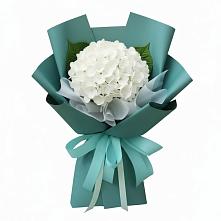 Букет цветов из:  Гортензия в Олонце